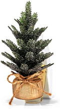Bath and Body Works Cozy Pine Tree Wallflowers Fragrance Plug Green