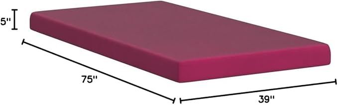 ZINUS 5 Inch Memory Foam Mattress, Bunk/Trundle/Day Bed Compatible, Twin, Pink