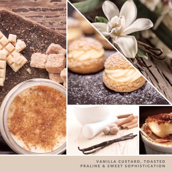 Yankee Candle ScentPlug Refill, Vanilla Creme Brulee, 1 CT (Pack of 6)