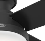 Hunter 52389 Dempsey Ceiling Fan 52 inches Matte Black
