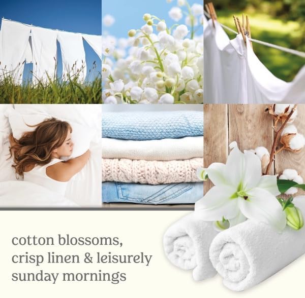 Yankee Candle Scent Plug Refill, Clean Cotton (Pack of 6)