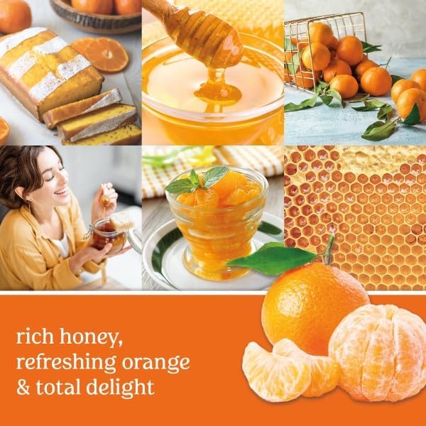 Yankee Candle ScentPlug Refill, Honey Clementine (Pack of 6)