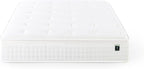 ZINUS 12 Inch Euro Top Pocket Spring Hybrid Mattress, Twin, Pressure Relief, Pocket Innersprings for Motion Isolation, Mattress in A Box