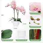 CXGS Orchids Artificial Flowers Real Touch Fake Flowers in Ceramic Pot 20" Pink Faux Orchid Plant Lifelike Silk Phalaenopsis for Centerpiece Hotel Home Indoor Decor