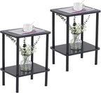 Apicizon 2 Tier End Table Set of 2, Small Side Table with Solid Wood Legs, Boho Bedside Table with Storage Shelf, Nightstand for Small Spaces, Bedroom, Living Room, Entryway, Easy Assembly, Black