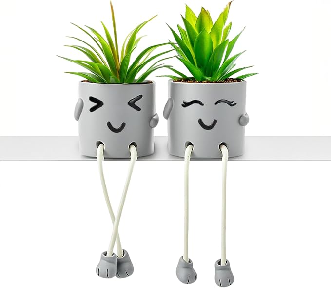 2Pack Fake Plants in Cute Pots, Indoor Faux Plants Decorations Lifelike with Artificial Flowers for Office Bathroom Bedroom Living Room Kitchen Home Farmhouse Shelf Decor D