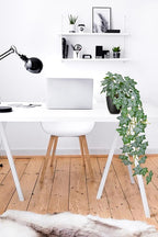 Realistic Fake Pothos Ivy Plant with Pot Artificial Leaves Featuring a White Frosted Finish for Home Shelf Decor Indoor Silk Artificial Plant Large