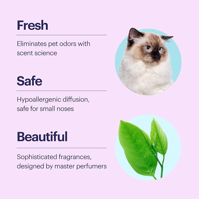 Aera True Loves Wildrose Rains - Deodorizing Home Fragrance Scent Refill for Pet Odor - Notes of Green Leaves, Rose Petal & Water Lily - 12.5mL - For Use With Aera Diffuser (Sold Separately)
