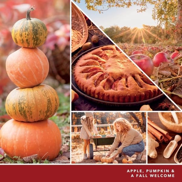 Yankee Candle Scent Plug Refill, Apple Pumpkin (Pack of 6)