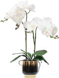 CXGS Orchids Artificial Flowers Real Touch Fake Flowers in Ceramic Pot 20" White Faux Orchid Plant Lifelike Silk Phalaenopsis for Centerpiece Hotel Home Indoor Decor