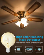 30 Watt G50 Wax Warmer Light Bulbs, Replacing Bulbs for Full Size Scentsy Warmers, E12 Base G16.5 Globe Clear Bulb for Candle Wax Warmer, Long Lifespan, 120 Volt (6 Pack)