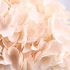 AVIVIHO 65pcs Champagne Fake Flowers Hydrangea Artificial Flowers Bulk Realistic Hydrangeas Silk Flowers with Stems for Arrangement Home Weddings,Centerpieces,Party Arch Backdrop Decorations
