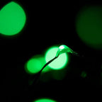 30 LEDs Green Color String Lights Silver Wire Indoor and Outdoor 9.5 Feet Firefly Starry Fairy Lights Battery Powered for DIY, Christmas, Holidays, Party, Bedroom and Centerpieces