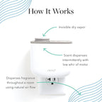Aera Mini Agraria Balsam Home Fragrance Scent Refill - Notes of Sweet Balsam, Cedar and Redwood - Works with The Aera Mini Diffuser, Mini Scent Capsule Size