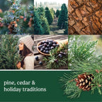 Yankee Candle ScentPlug Refill, Balsam & Cedar (Pack of 6)