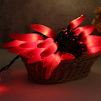 LIDORE Chili Pepper String Light Summer Kitchen Garden Patio Decoration Fairy Light Connectable Plug in UL Listed 35 Counts Red Chili 13FT