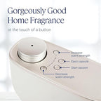Aera Mini Home Hygiene Mint and Eucalyptus - Essential Oil for Home - Relaxing Fragrance - Notes of Orange Peel, Spearmint and Eucalyptus - Scent Refill - Capsule Size Works with Mini Diffuser