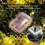 String Lights,LED Copper Wire Lights, Each Set 33ft/10M 100LEDs and 8 Remote Control.AA Battery Powered,Decor Rope Lights for Holiday,Wedding, Parties.（Multicolour）