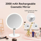 9.65-inch Lighting Makeup Mirror, 1x / 10x,Touch Control,3-Color Adjustable,Metal Stand,up and Down Adjustable Makeup Mirror, High Color Rendering, Eye-Protecting Light Source,Silver