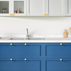 Ravinte 40 Pack Cabinet Knobs Gold Kitchen Cabinet Knobs Round Dresser Drawer Pulls Closet Door Pulls 1-1/5 Inch