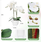 CXGS Orchids Artificial Flowers Real Touch Fake Flowers in Ceramic Pot 20" White Faux Orchid Plant Lifelike Silk Phalaenopsis for Centerpiece Hotel Home Indoor Decor