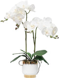 CXGS Orchids Artificial Flowers Real Touch Fake Flowers in Ceramic Pot 20" White Faux Orchid Plant Lifelike Silk Phalaenopsis for Centerpiece Hotel Home Indoor Decor