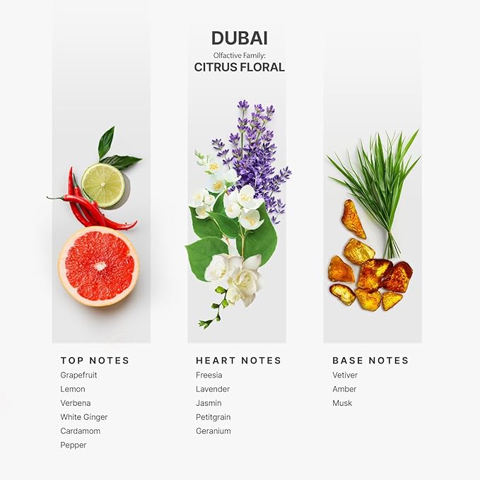 AromaPlan Hotel Scents Dubai 16 Fl Oz (473ml), Home Luxury Aroma & Hotel Diffuser Oil- Hotel Diffuser Oil for Aromatherapy- USA Made, Bigger Bottle, Bolder Aroma & Longer Lasting