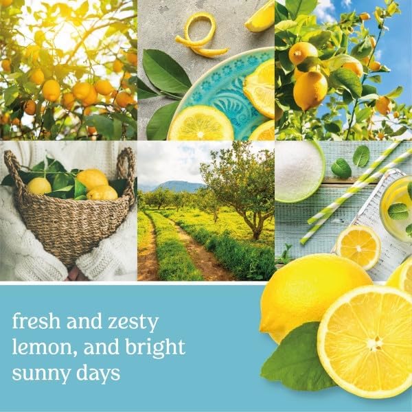 Yankee Candle ScentPlug Refill, Sicilian Lemon (Pack of 6)