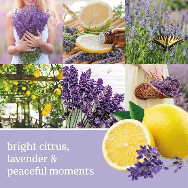 Yankee Candle ScentPlug Refill, Lemon Lavender (Pack of 6)