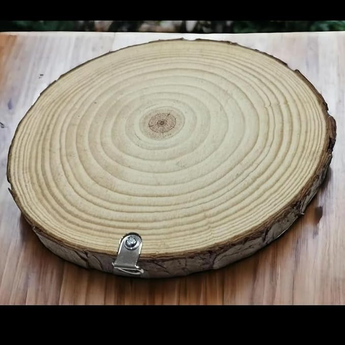 Copenhagen Denmark Souvenir – Nordic Wood Slice Plaque Gift Ideal for Scandinavian Design Lovers & Travel Collectors
