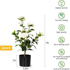 Artificial Camellia Tree 2 Pack, Artificial Plants Outdoor Faux Floral Plant in Cement Pot Fake Silk Camellia Tree Plants for Home House Living Room Office Decor