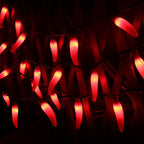 LIDORE Chili Pepper String Light Summer Kitchen Garden Patio Decoration Fairy Light Connectable Plug in UL Listed 35 Counts Red Chili 13FT