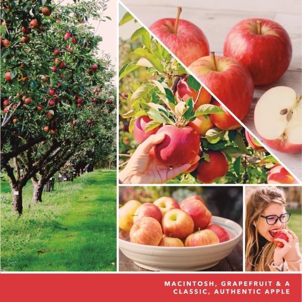Yankee Candle ScentPlug Refill, Macintosh (Pack of 6)