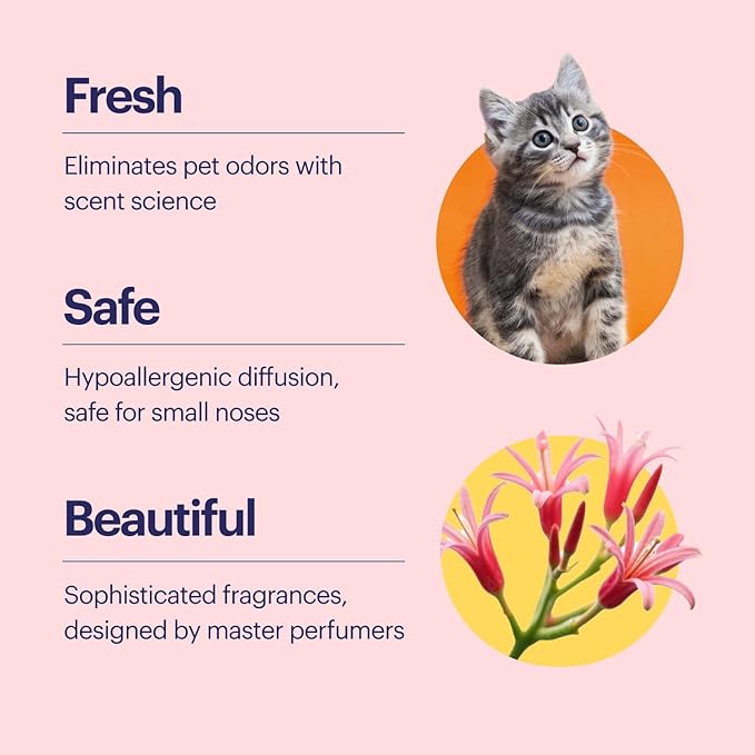 Aera True Loves Amber Skies - Deodorizing Home Fragrance Scent Refill for Pet Odor - Notes of Amber, Iris & Red Honeysuckle - 12.5mL - For Use With Aera Diffuser (Sold Separately)