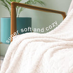 Exclusivo Mezcla Fleece Queen Size Blanket for Bed, 90x90 Inches Soft Cozy Jacquard Flannel Blankets, Lightweight Fuzzy Plush Warm for Winter, Off White