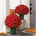 Artificial Mums for Outdoors, Faux Sunset Mum Flowers Planters for Indoor Outside Decor, Fake Look Real, Vibrant, UV Resistant, Waterproof, Windproof (Wine, 10 Bundle)