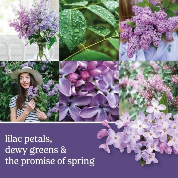 Yankee Candle Scent Plug Refill, Lilac Blossoms (Pack of 4)