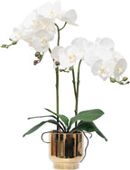 CXGS Orchids Artificial Flowers Real Touch Fake Flowers in Ceramic Pot 20" White Faux Orchid Plant Lifelike Silk Phalaenopsis for Centerpiece Hotel Home Indoor Decor