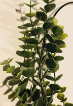 Metal Hoop Wreath Shabby Chic Eucalyptus Succulent Green Simple Wedding Baby Nursery Rustic Farmhouse Scandinavian Home Decor (Set of 3 - 8", 10", & 12")