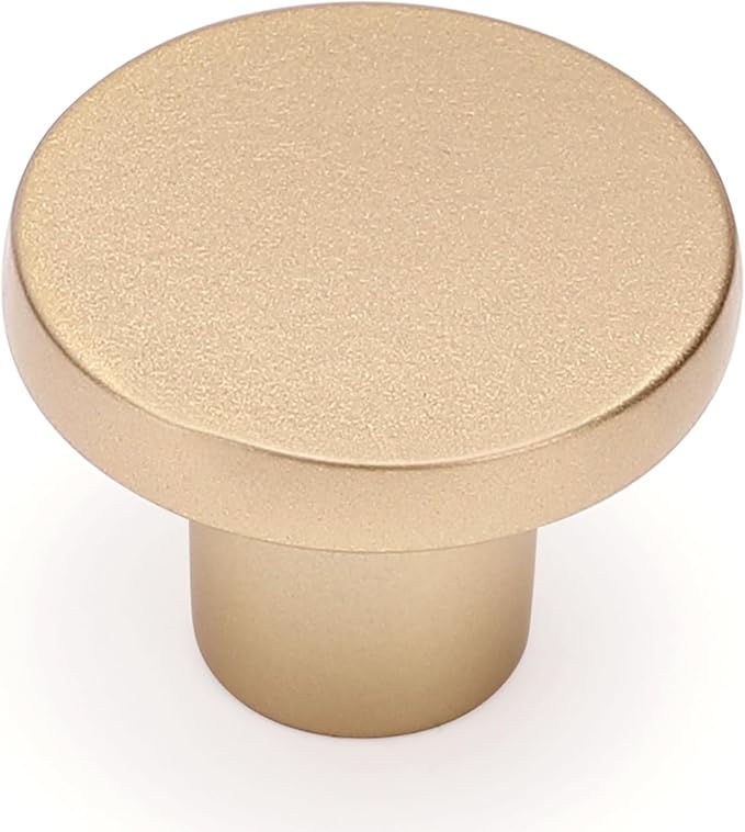 Ravinte 10 Pack Cabinet Knobs Champagne Gold Kitchen Cabinet Knobs Round Dresser Drawer Pulls Closet Door Pulls 1-1/5 Inch