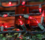 LAMPHOME Super-Bright Extendable Red Christmas Lights Decoration 100Lights 19.6ft UL Certified Mini Bulb String Lights Set for Outdoor Christmas Tree Garden Holiday Party Patio Wedding Garland Decor