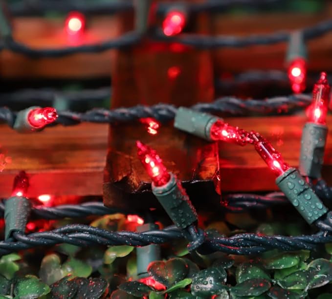 LAMPHOME Super-Bright Extendable Red Christmas Lights Decoration 100Lights 19.6ft UL Certified Mini Bulb String Lights Set for Outdoor Christmas Tree Garden Holiday Party Patio Wedding Garland Decor