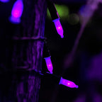 Twinkle Star 2 Pack Purple Halloween String Light, Battery Operated Lights 50 LED 16 FT String Light Waterproof Tree Lights with 8 Lighting Modes,Indoor Outdoor Patio Garden Halloween Decorations