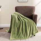 BEDELITE Fleece Blanket Twin Size Sage Green Throw Blanket for Couch & Bed, Luxury Plush Cozy Fuzzy Blanket 60x80 inches, Super Soft Warm Lightweight Throw Blanket for Travel Camping