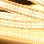 LED Strip Lights Warm White 3000K 16.4ft/5M Double Row 2835 SMD 2400LEDs DC 24V Daylight Bright Dimmable Flexible LED Tape Light Waterproof IP67 Outdoor Lighting(No Adapter & Dimmer)