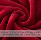 Flannel Fleece Travel Size Summer Blanket All Season 350GSM Lightweight Throw for The Bed Extra Soft Brush Fabric Winter Warm Sofa Blanket 50"x 61"(Burgundy Red Travel)