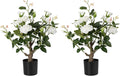 Artificial Rose Flower Trees 2 Pack- 24’’ Lifelike Plant in Pot with White Flowers Decorative Rose Trees for Home, Office, Wedding, and Event Decor, White