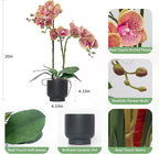 CXGS Orchids Artificial Flowers Real Touch Fake Flowers in Ceramic Pot 20" Purple Dapple Faux Orchid Plant Lifelike Silk Phalaenopsis for Centerpiece Hotel Home Indoor Decor