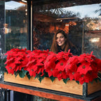 3 Pack Christmas Artificial Poinsettia Flowers Stem Bouquets Outdoors with 15pcs 8.2 Inch Red Poinsettia Flowers Heads for Christmas Tree, Xmas Garland, Vase, Window Box, Porch Home Decorations