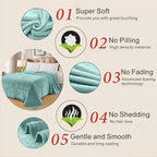 Fleece Blankets for All Season - Premium Lightweight Anti-Static Throw for Travel Size Bed Extra Soft Brush Fabric Warm Sofa Thermal Blanket 51" x 60"(Sage Green)